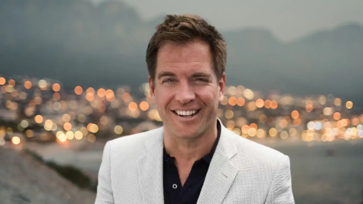 Is Tony Dinozzo Coming Back To NCIS?