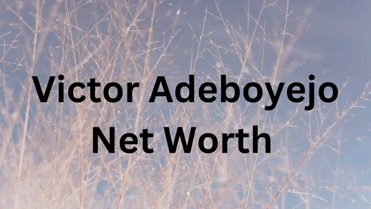 Victor Adeboyejo  Net Worth in 2024 How Rich is He Now?