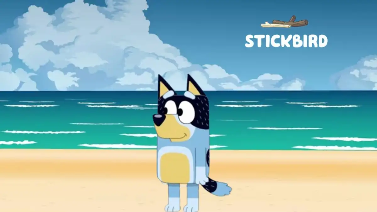 What Happened To Bandit in Stickbird? Why is Bandit Sad in Stickbird?