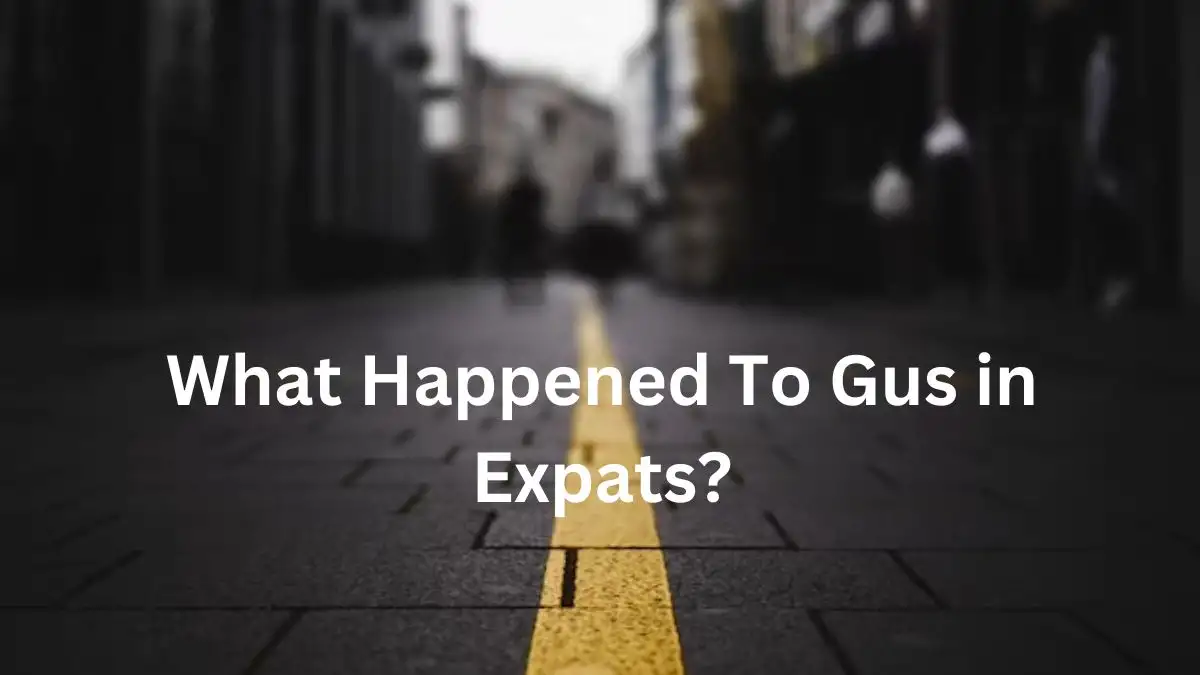 What Happened to Gus in Expats? Do They Find Gus in Expats?