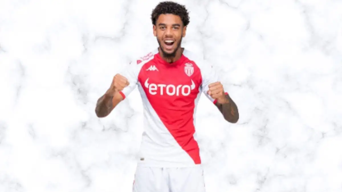 Willem Geubbels Net Worth in 2024 How Rich is He Now?