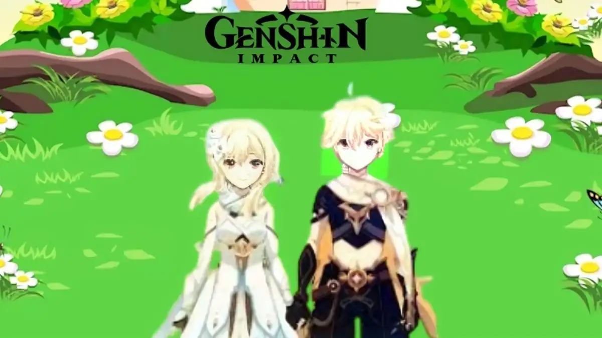 Genshin Impact Mobile Size,Reducing Genshin Impact's Mobile Size