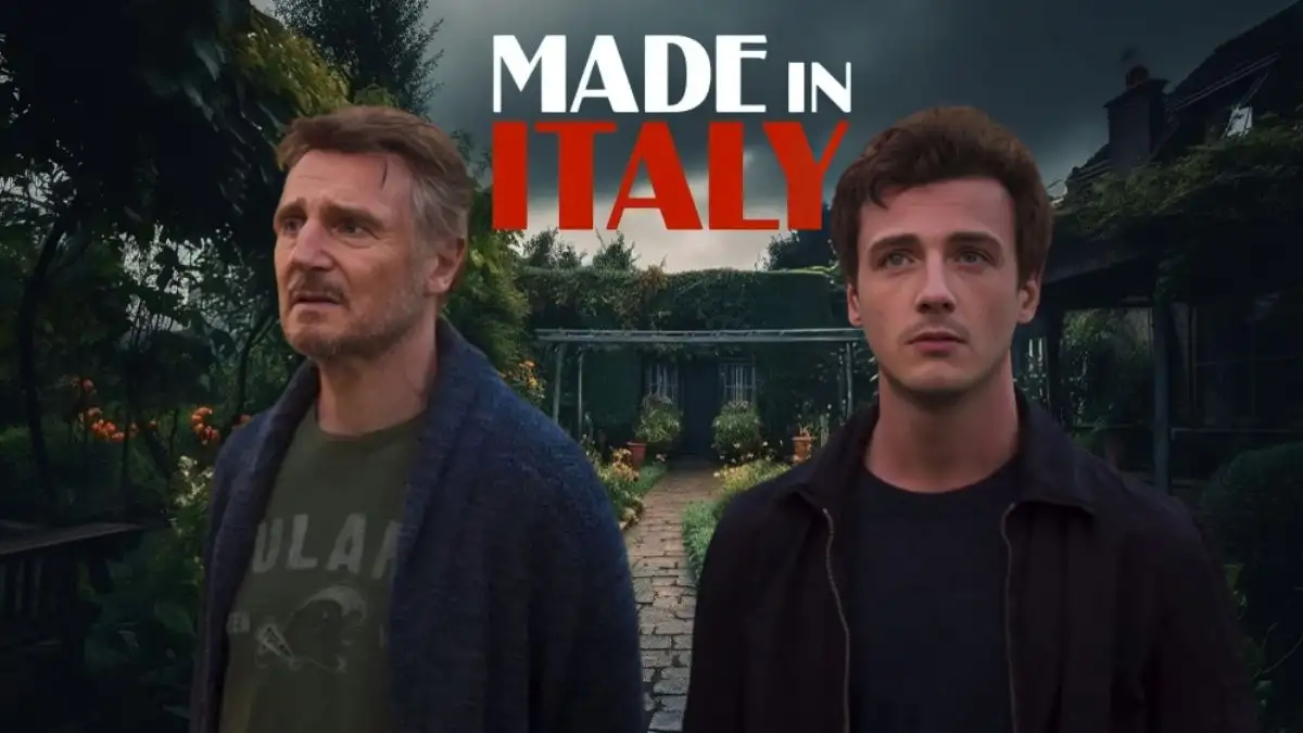 Is Made in Italy Based on a True Story? Plot, Cast, and More