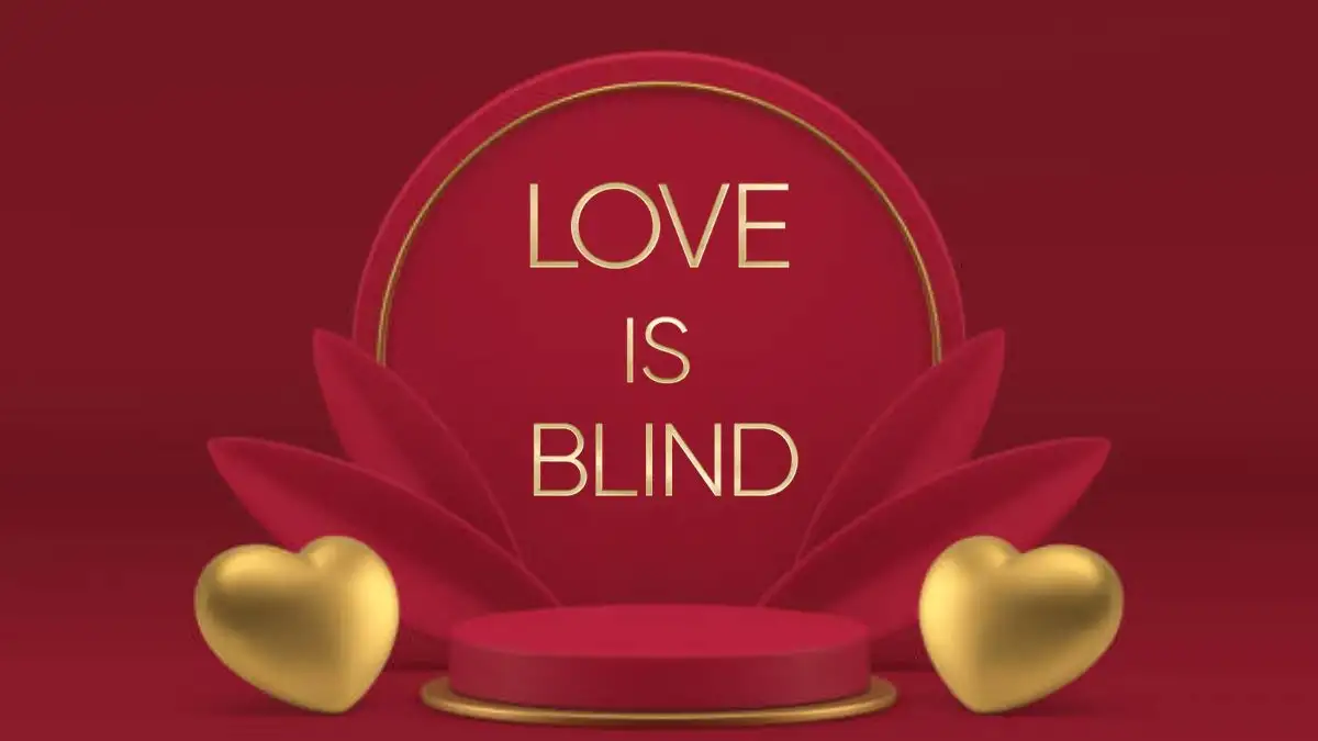 Love is Blind Season 6: Who Got Engaged?