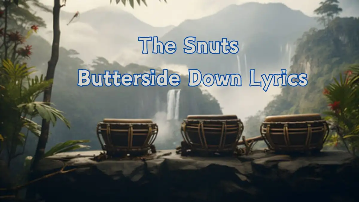 The Snuts Butterside Down Lyrics know the real meaning of The Snuts's Butterside Down Song Lyrics