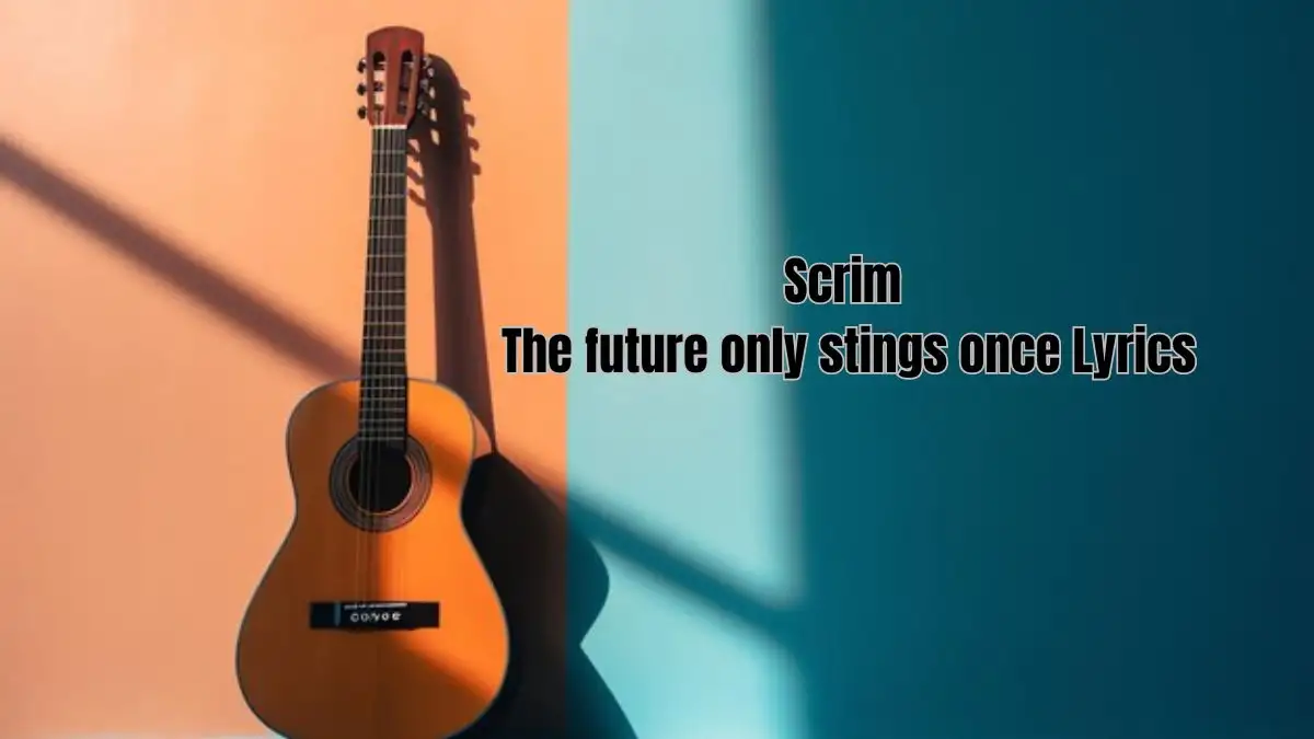 Scrim the future only stings once Lyrics know the real meaning of Scrim's the future only stings once Song Lyrics