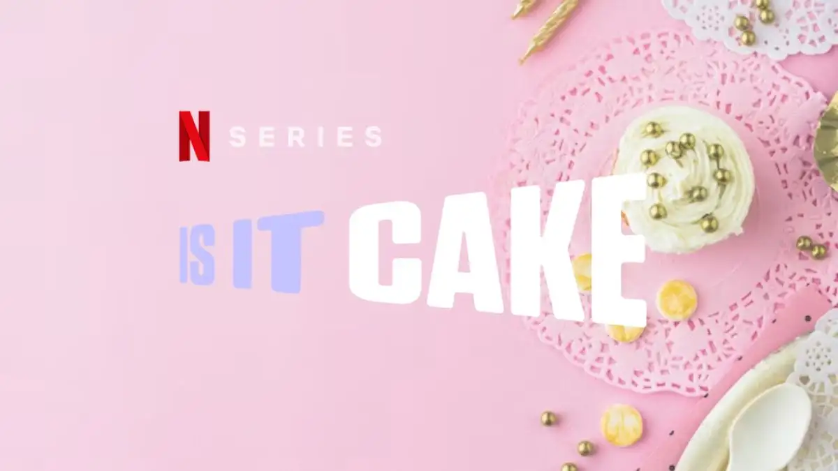 Will There Be a Is It Cake Season 3? Is It Cake Season 3 Release Date